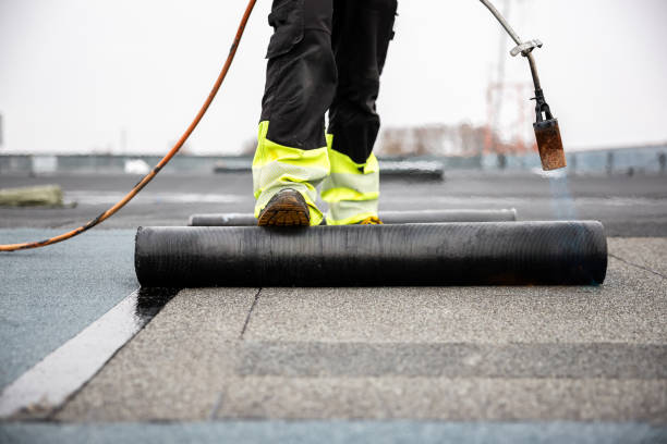 Best Gutter Installation and Repair  in Oak Hill, OH